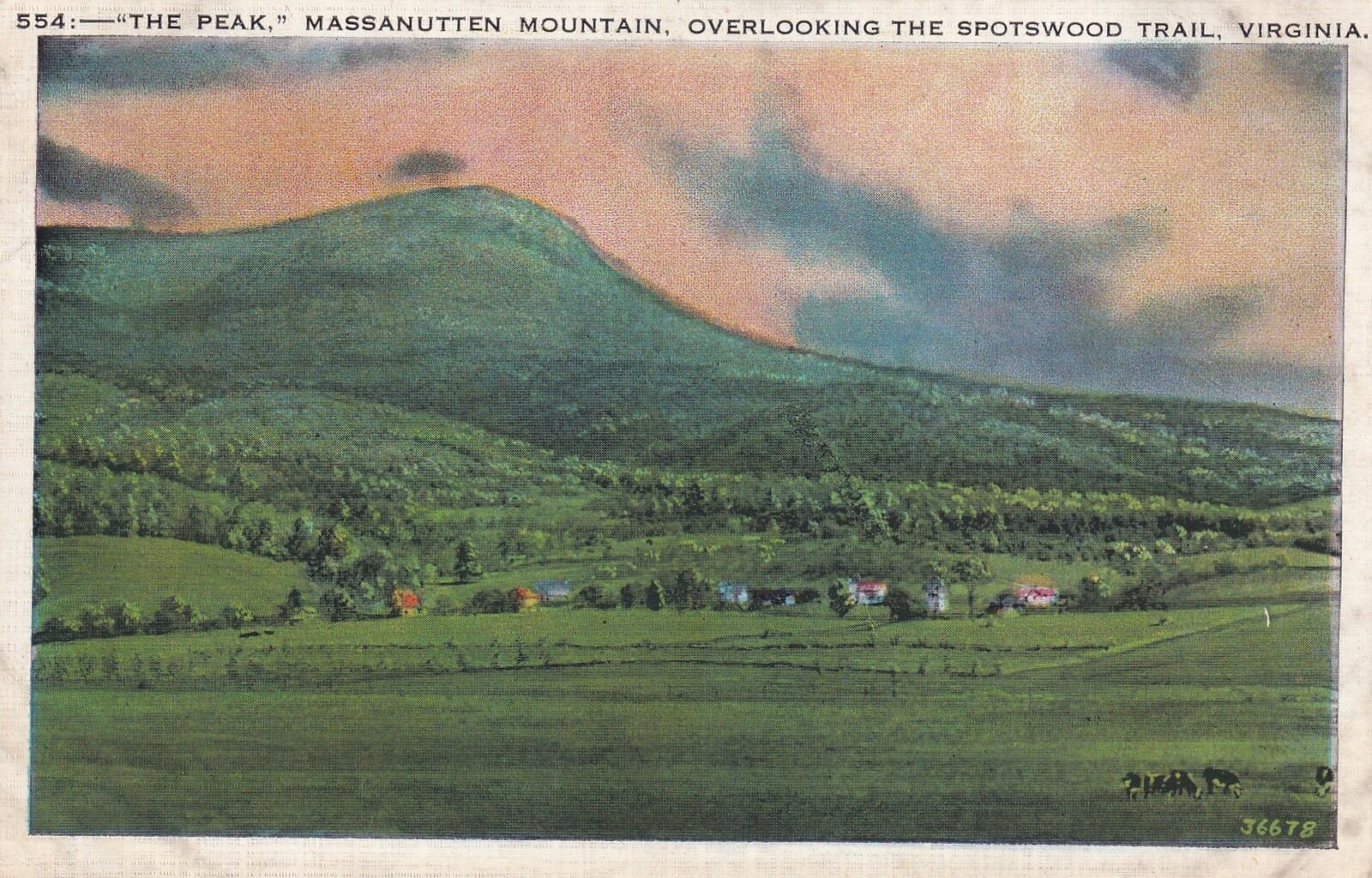 Peak Massanutten Mountain Spotswood Trail Virginia VA 1936 Postcard C09