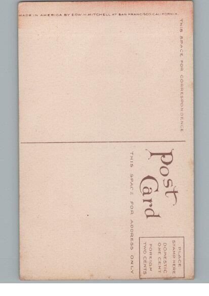 Antique Peach Fruit Lithograph Postcard by Edw. J. Mitchell San Francisco