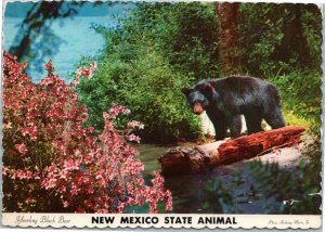 New Mexico State Animal - Yearling Black Bear postcard