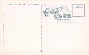 B50/ Orangeburg South Carolina SC Postcard c'10 Packing Company Factory