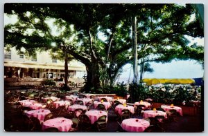 Hawaii~General View Of Banyan Tree Court Lanai @ Moana Hotel~Vintage Postcard