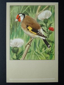 Bird Theme GOLDFINCH c1950s Postcard by P. Sluis Series 9 No.107