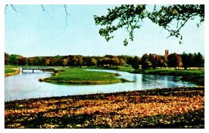 Postcard BRIDGE SCENE Chicago Illinois IL AS2839