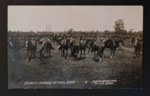 1908 Mint US Army RPPC Postcard Pine Camp NY Cavalry Horses H M Beach Photograph