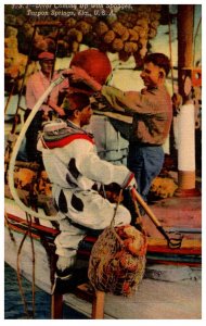 Florida  Tarpon Springs  Diver Coming up with Sponges