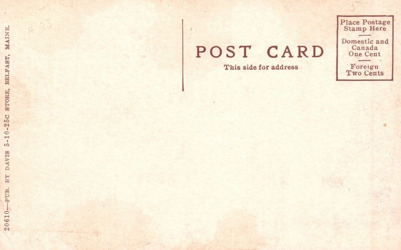 High Street And Public Library Belfast Maine ME Davis Vintage Postcard 1900's