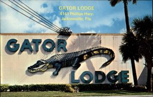 Jacksonville Florida FL Motel 1950s-60s Postcard