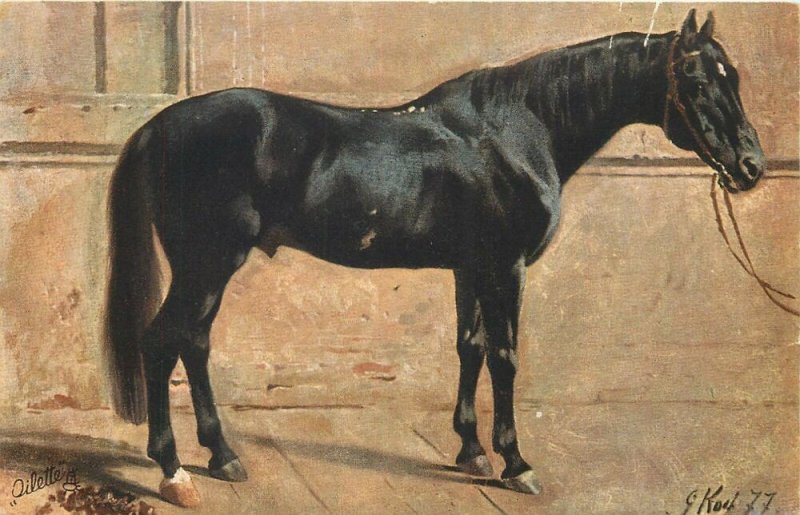 Black horse G. Koch signed eralypostcard Raphael Tuck