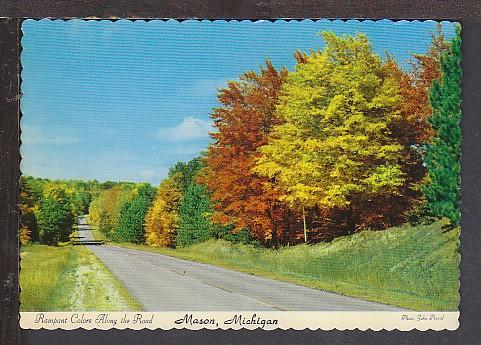 Fall View Mason MI Postcard BIN