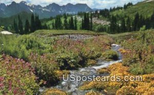 Mt. Rainier National Park, Washington