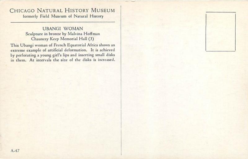 Chicago Natural History Museum Ubangi African Woman Malvina Hoffman IL Postcard