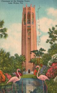 Vintage Postcard 1956 Flamingos on the Singing Tower Lake Wales Florida Fla.