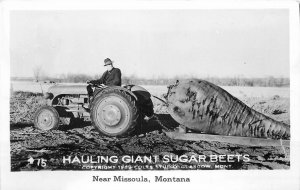 Postcard RPPC Montana Missoula Hauling Giant Sugar Beets exaggeration 23-5349