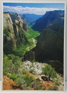 The Virgin River Observation Point Zion National Park Vintage Postcard