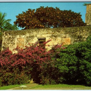 c1970s St. John US Virgin Islands Ruins Caneel Bay Coquina Caribbean Resort A224