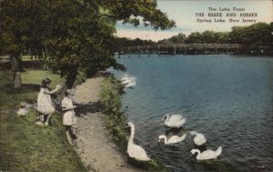 Spring Lake New Jersey NJ Girls Feeding Swans Lake Front Vintage Postcard