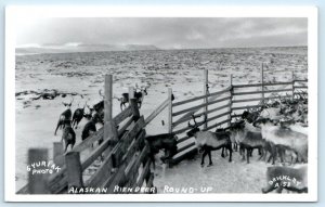 RPPC ALASKA ~ REINDEER ROUND-UP  c1940s Gyuriak Photo Brickley A-53 Postcard
