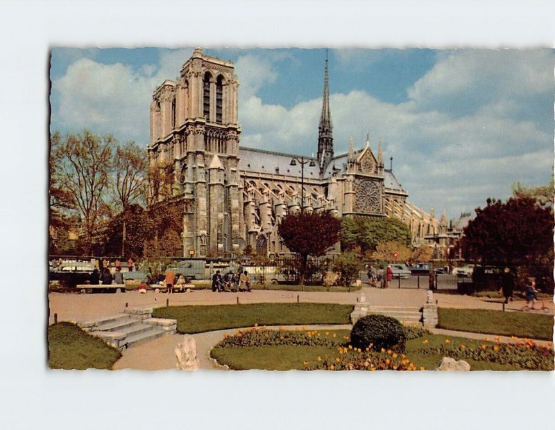 Postcard Notre Dame de Paris et le Square Viviani Paris France