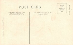 Vintage Postcard Castle From The Thames Windsor England Ernest Marshall Pub. 