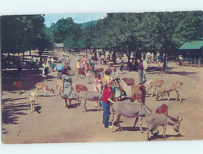 Chrome FARM SCENE Catskill New York NY AH3967