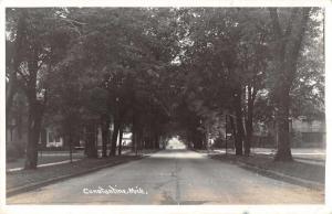 Constantine Michigan Street Scene Real Photo Antique Postcard J61062