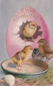 Easter Young Chicks Sitting On Bowl 1909