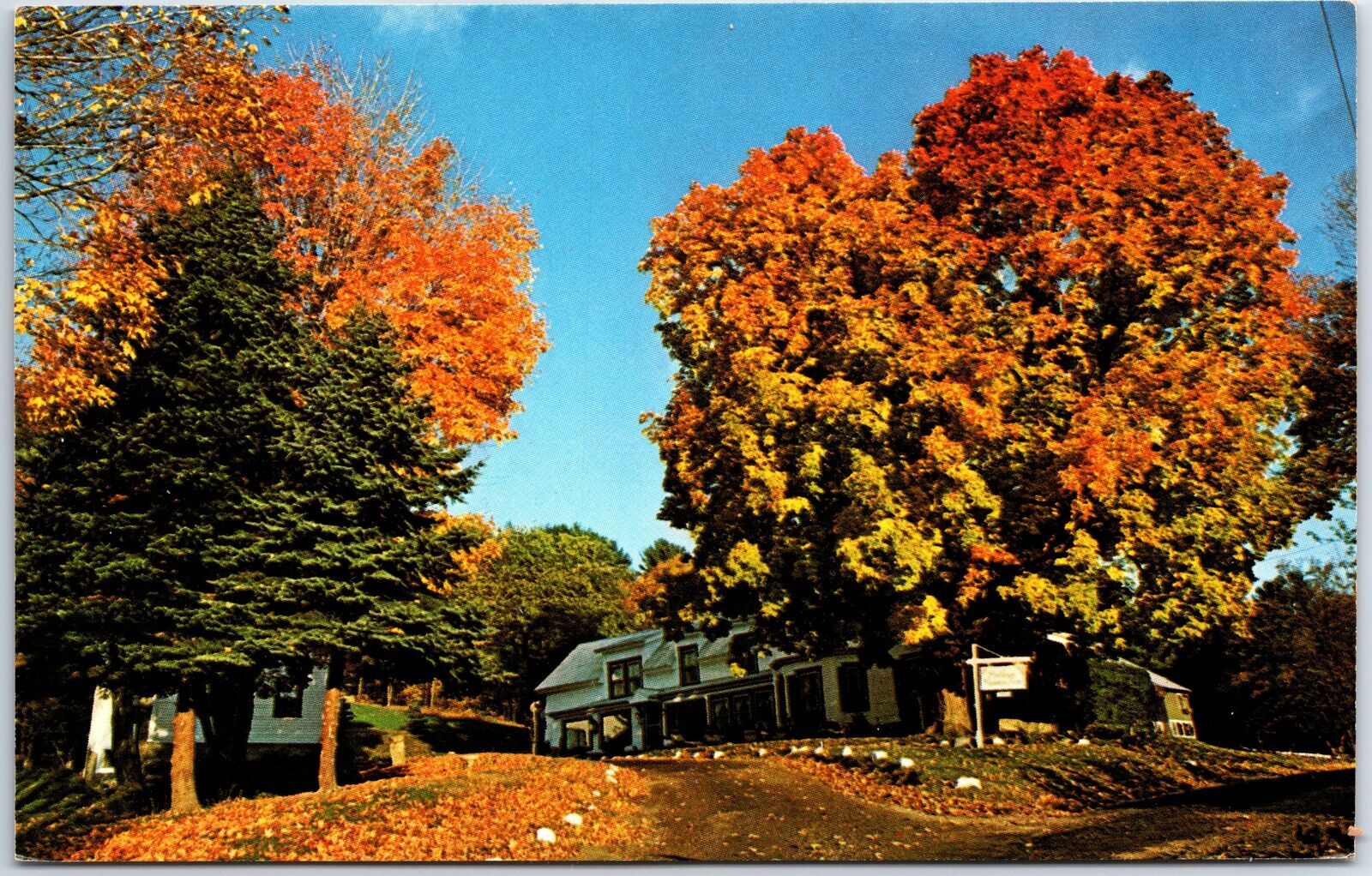 Vintage Postcard Rockhouse Mountain FarmInn at Eaton Center New