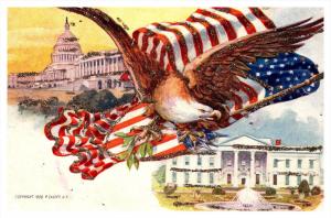 American Eagle, US Flag,  Capitol , glitter