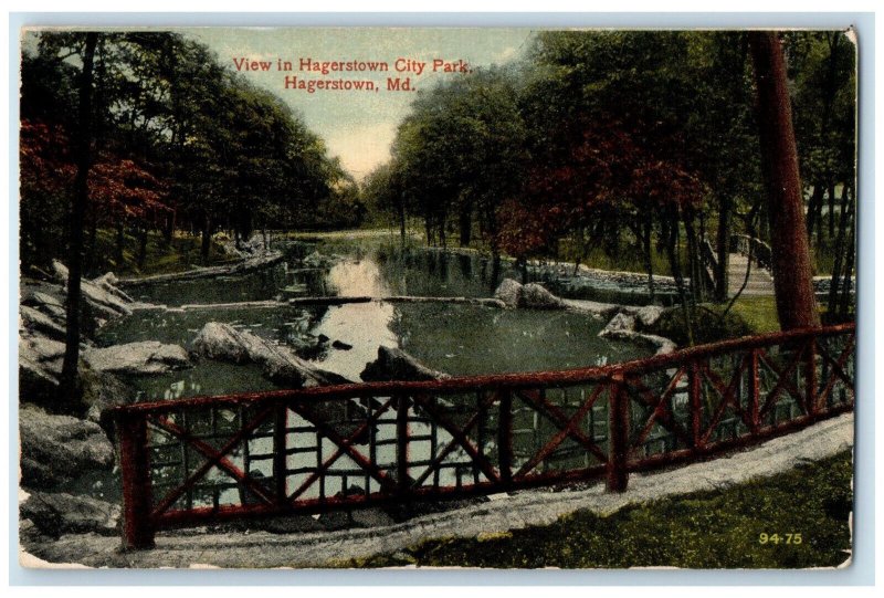 1919 View in Hagerstown City Park Hagerstown Maryland MD Posted Postcard