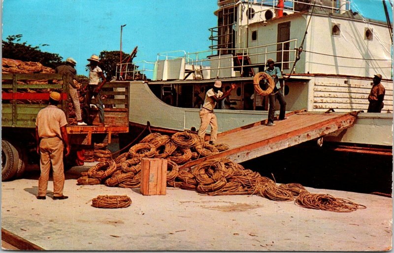 Vintage Postcard Loading Thatch Rope for Export Mailed at Hell Grand ...