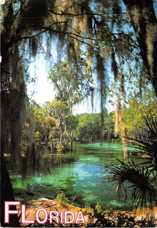 US10 USA FL Florida park Spanish moss 1993 Frank Laubach Luis Munoz stamps