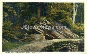 Yonahlossee Road Linville NC 1924
