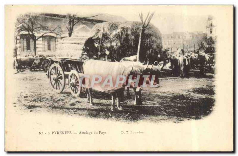 Old Postcard hitch country Pyrenees Oxen