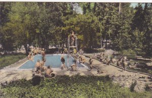 California Pine Grove Resort Swimming Pool Cobb Lake County Albertype