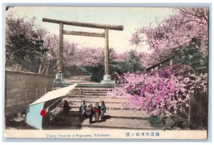 Yokohama Japan Postcard Cherry Blossom of Nogeyama Stairway c1910 Unposted