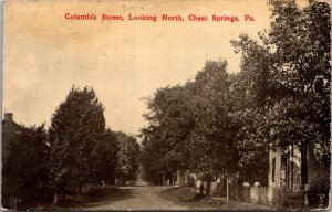 Columbia Street, Looking North, Chest Springs PA c1911 Vintage Postcard Z27