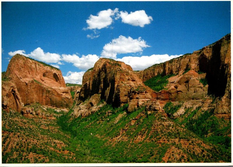 Utah Zion National Park Kolob Section Finger Canyon 1990