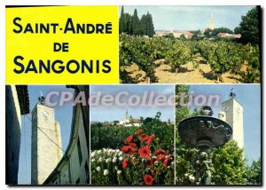 Postcard Modern Saint-Andr?-de-Sangonis