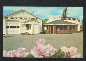 BRUNSWICK MISSOURI MO. JAMES PECAN FARM STORE ADVERTISING POSTCARD