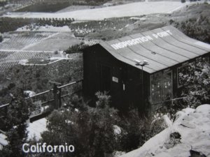 LAKE ELSINORE, CA ~ 1950s real photo INSPIRATION POINT and lake view/town