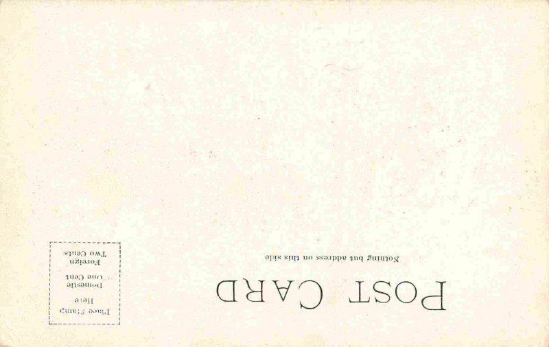 High School Joliet Illinois  1905c postcard