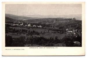 Antique Birds-Eye View of Newfane, Scenic Landscape, VT Postcard