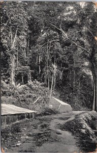 Indonesia Tropisch Nederland te Sabang Atjeh Vintage Postcard C146