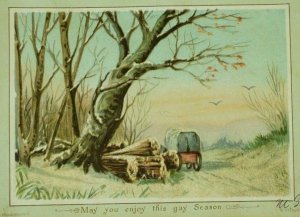 1880's-90's Victorian Christmas Card Mica Woods Snow Wagon P79