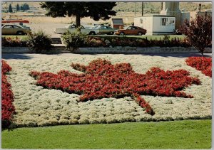 Kamloops Canada Maple Leaf Flower Bed Postcard by Ken Buchanan C12