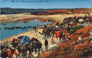 Algeria Une Caravane en Marche Vintage Postcard C185