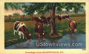 Greetings From - Scottsville, Kentucky KY  