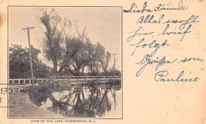Hammonton New Jersey Lake and Bridge Scenic View Vintage Postcard JH230115