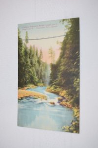 Capilano Suspension Bridge Length 450 ft Height 200 ft Vancouver B.C. Postcard