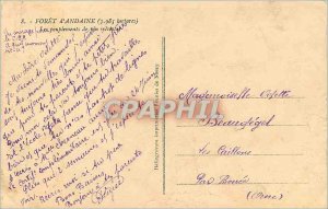 Old Postcard FOR�T of ANDAINE